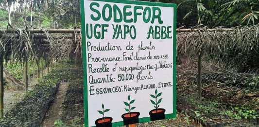 Forêt classée de Yapo Abbé