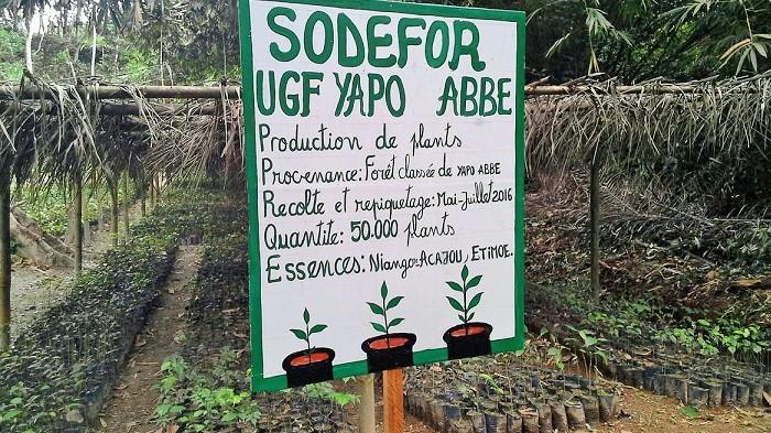 Forêt classée de Yapo Abbé