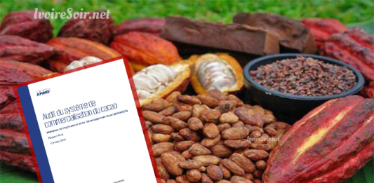 Audit de la filière café-cacao par le cabinet KPMG