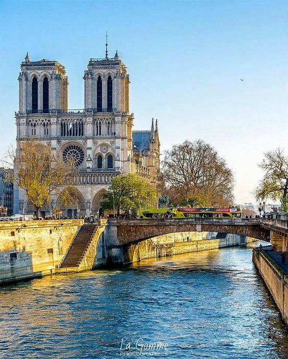 32+ July 2020 Notre Dame Cathedral 2020 Pics